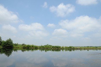 Property photo 10 - 1,025 Acres in 24 Tracts - Exellent Recreation Opportunity - Potential Building Sites - 11 Lakes & Ponds